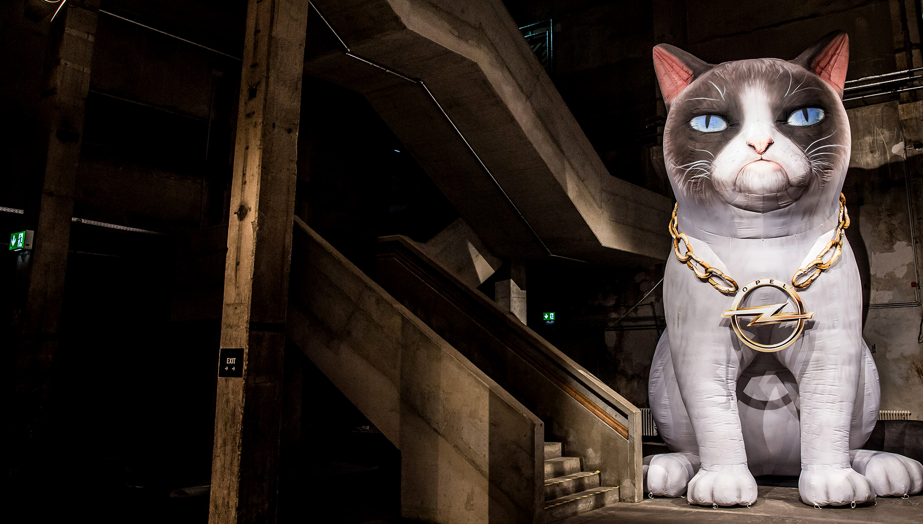 Messe Design Live Kommunikation Berlin Opel Grumpy Cat Going Places EventLabs